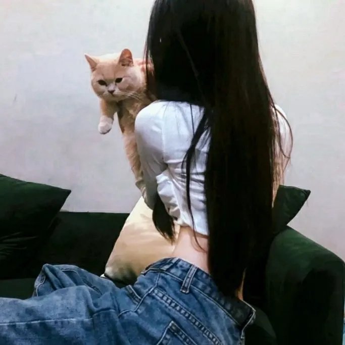 西装暴徒